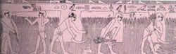 "Atlas of Ancient Egypt", Lnd., 1995