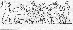 . , .  "  ", ., 1973