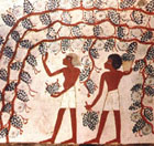"Atlas of Ancient Egypt", Lnd., 1995
