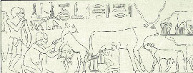 . , .  "  ", ., 1973