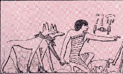 "Atlas of Ancient Egypt", Lnd., 1995