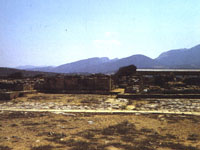 E. Sapouna Sakellaraki "Minoan Crete", Roma, 1994, p.51